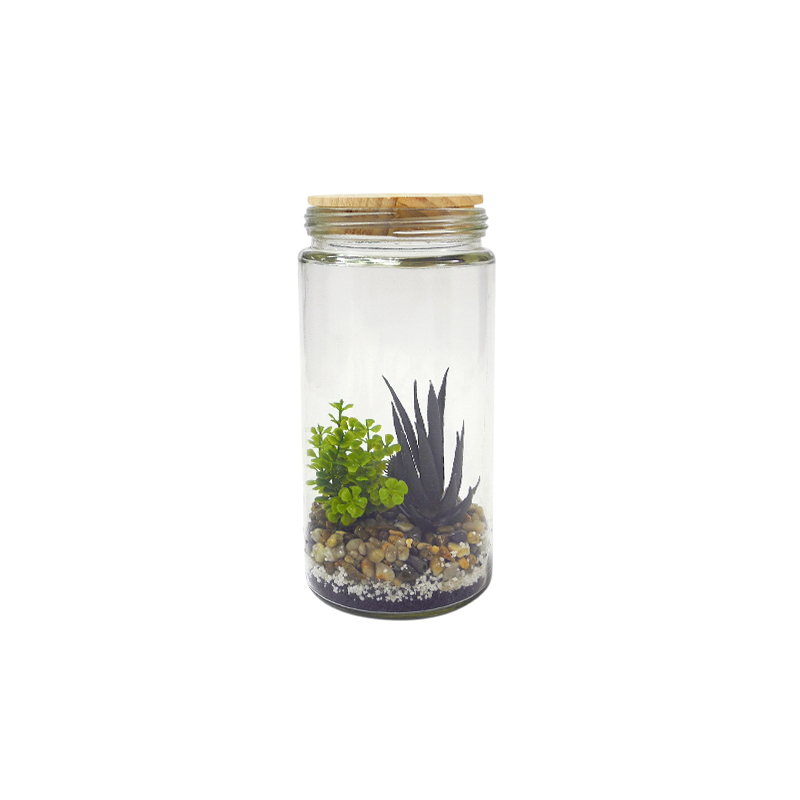 Transparent Cylinder Flower Pot YD-FPWP-030
