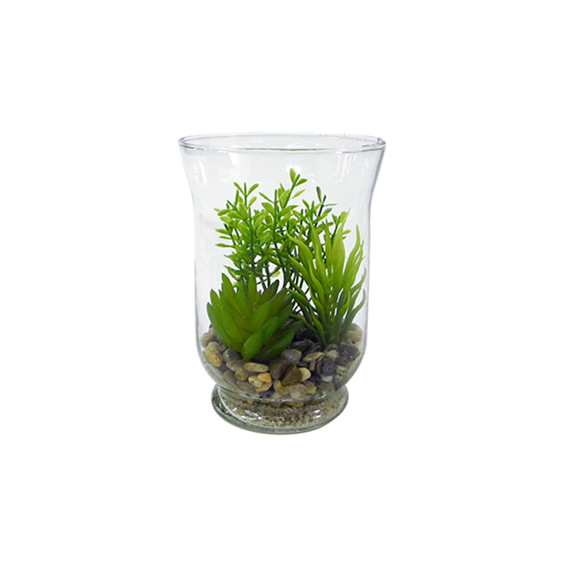Transparent Glass Flower Pot YD-FPWP-025