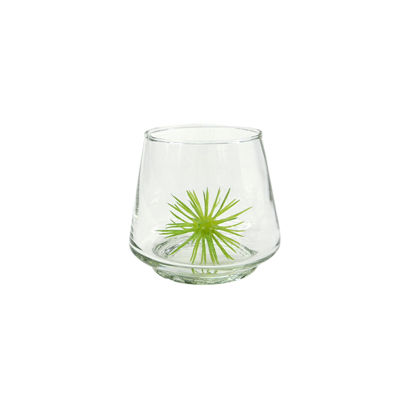Transparent Flower Pot YD-FPWP-024