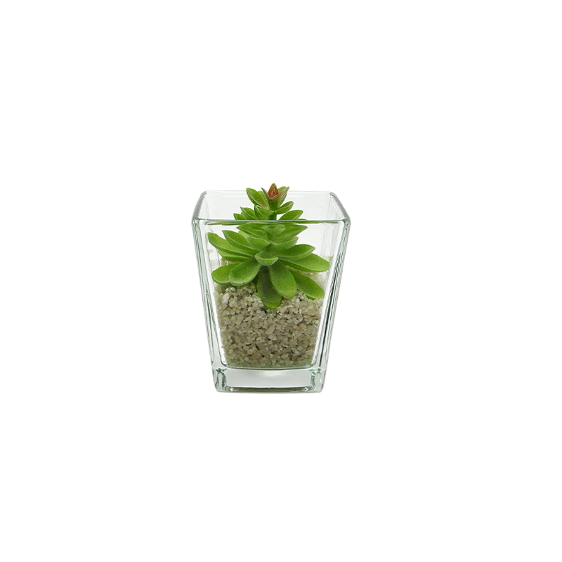 Cup-shaped Flower Pot YD-FPWP-032
