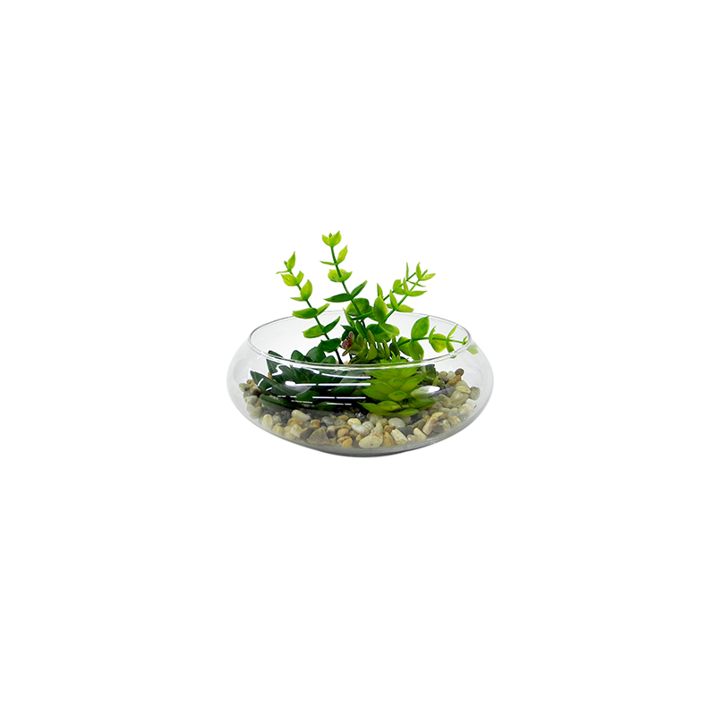 Transparent Glass Flower Pot YD-FPWP-025