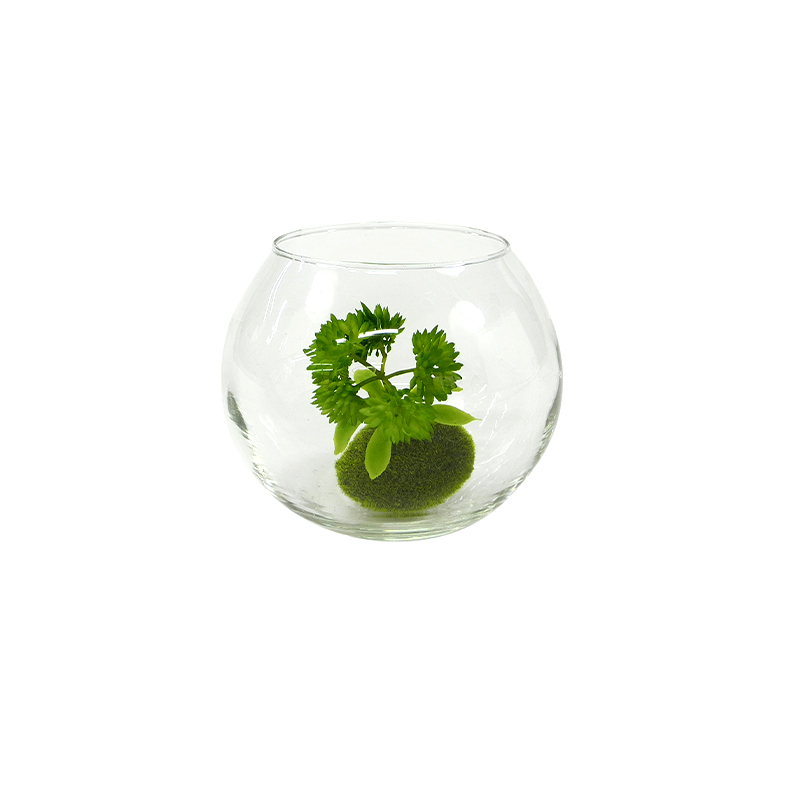 Round Transparent Flower Pot YD-FPWP-033