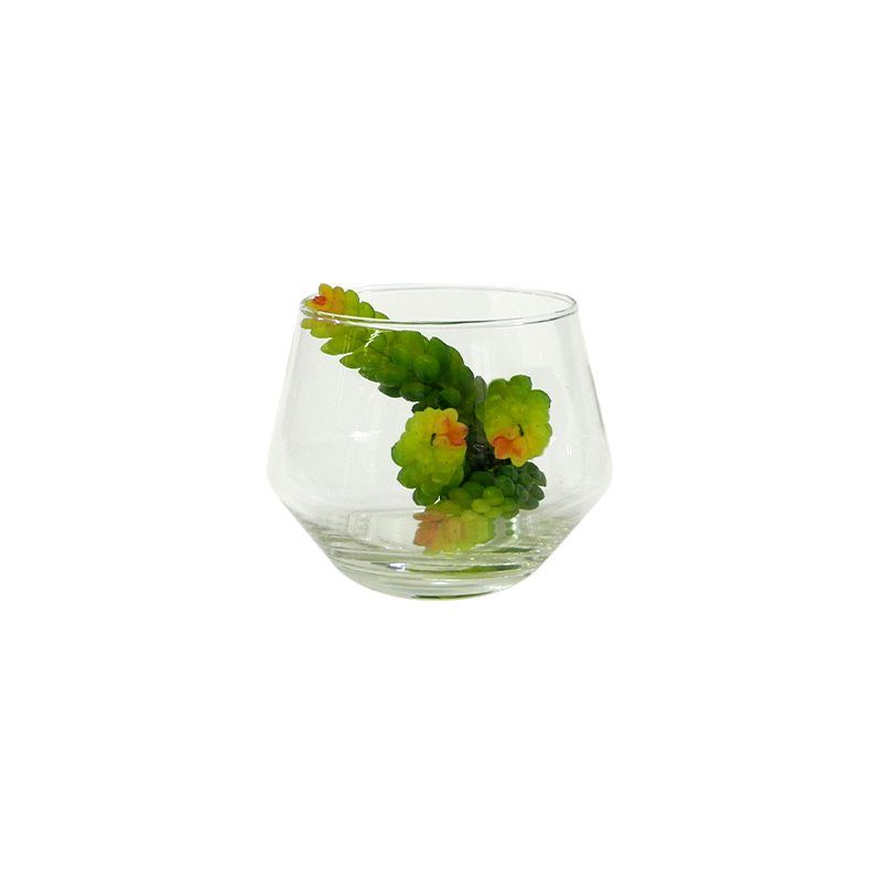 Transparent Flower Pot YD-FPWP-024