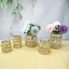 Large Diameter Paper Glass Vases YD-ACC-011