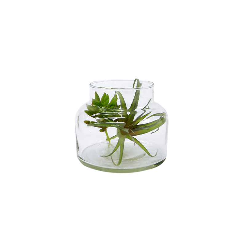 Micro Landscape Transparent Glass Flower Pot YD-FPWP-036