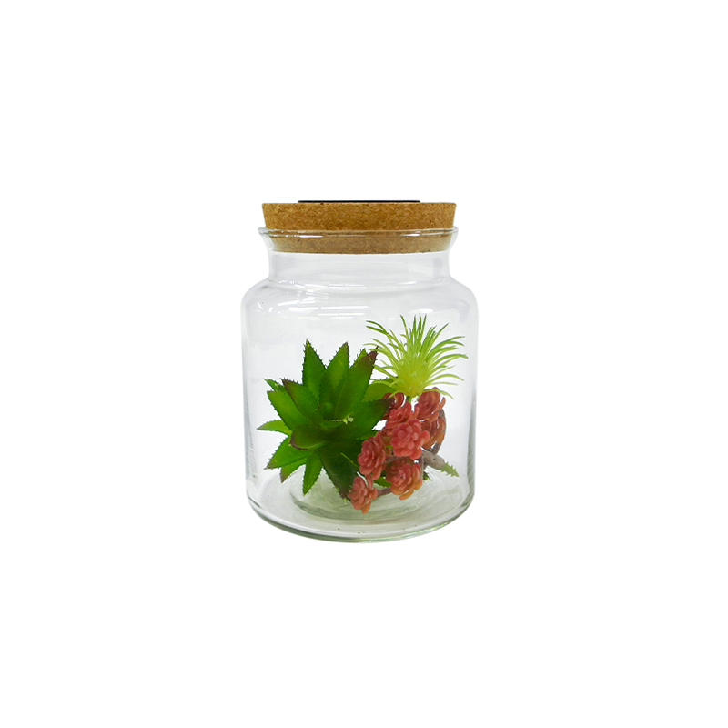 Micro Landscape Glass Vases YD-FPWP-028