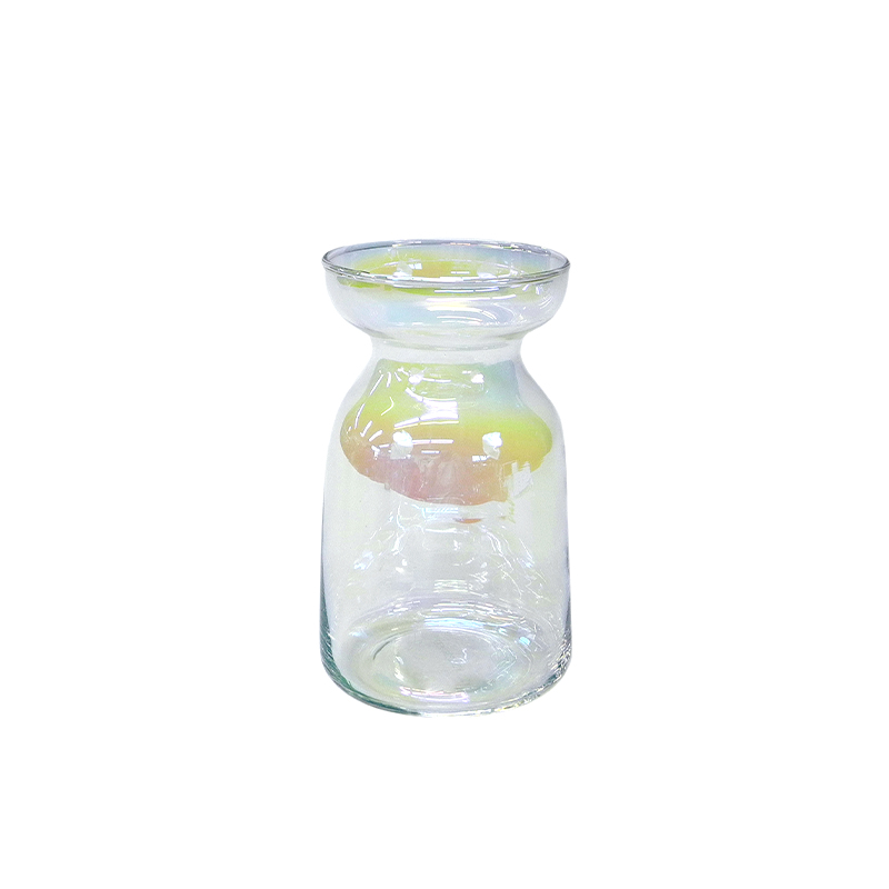 Colorful Transparent Glass Vases YD-ND-195