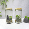 Transparent Cylinder Flower Pot YD-FPWP-030