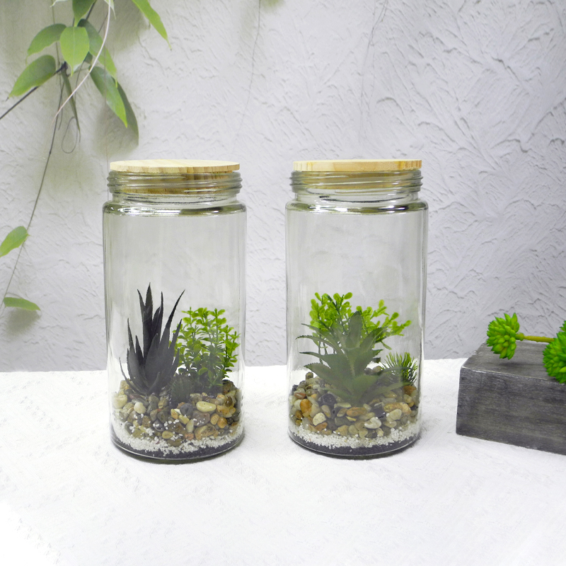Transparent Cylinder Flower Pot YD-FPWP-030