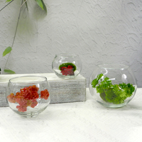 Round Transparent Flower Pot YD-FPWP-033