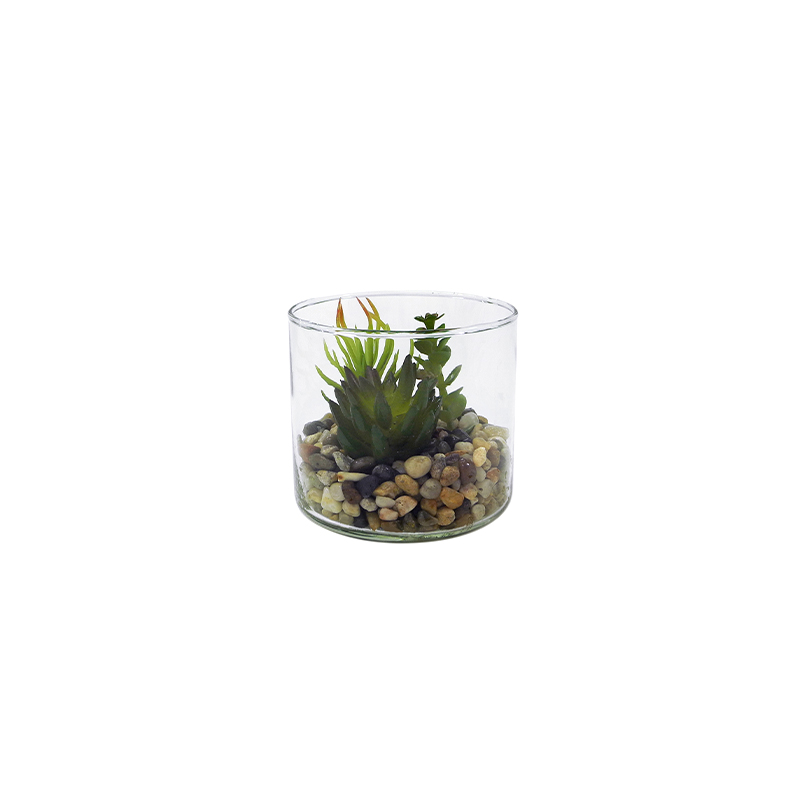 Transparent Glass Flower Pot YD-FPWP-025
