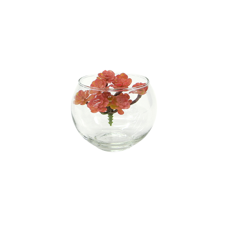 Round Transparent Flower Pot YD-FPWP-033