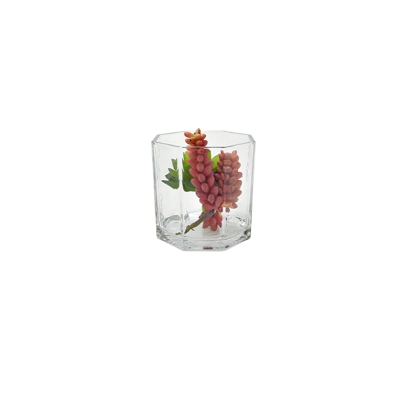 Polygon Transparent Flower Pot YD-FPWP-027