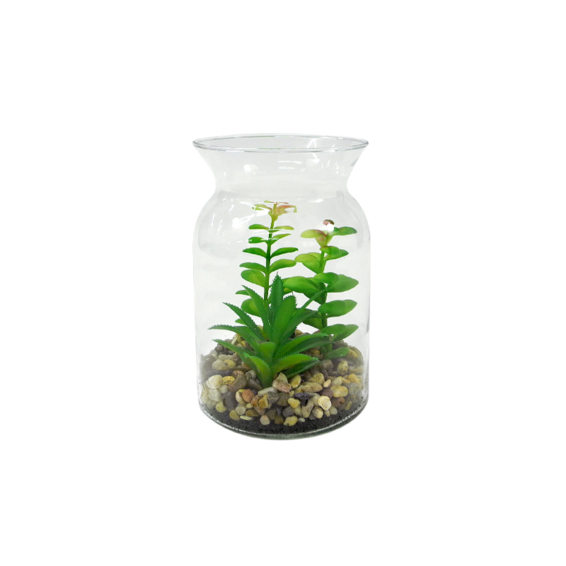 Transparent Micro Landscape Glass Vases YD-FPWP-031