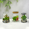 Micro Landscape Glass Vases YD-FPWP-028