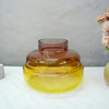 Gradient Glass Vases YD-CGV-104