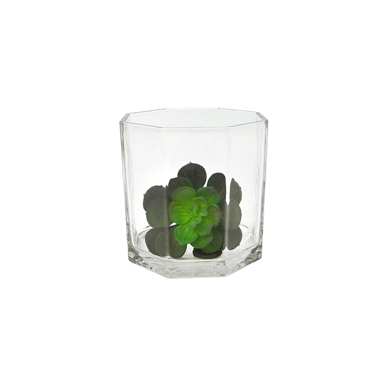 Polygon Transparent Flower Pot YD-FPWP-027