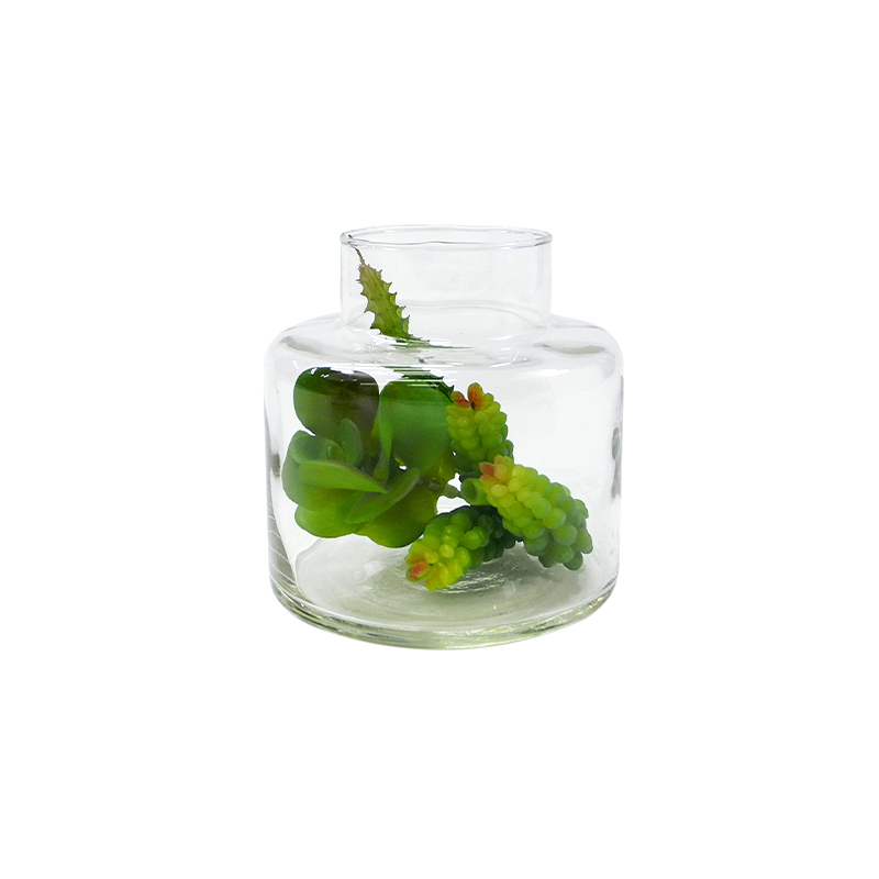 Micro Landscape Transparent Glass Flower Pot YD-FPWP-036
