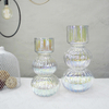 Colorful Electroplated Vases YD-CGV-078