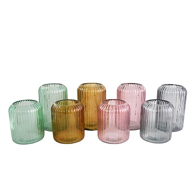 Round Body Glass Vases YD-ND-135