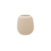 Frosted And Painted Glass Vase YD-ND-464