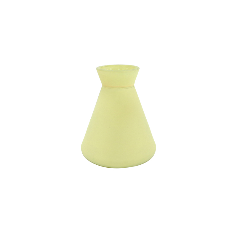 Vertebral Body Frosted Glass Vase YD-ND-449