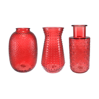 Red Glass Vase in Autumn YD-TDH-157
