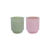 Striped Frosted Wax Cup YD-ND-270