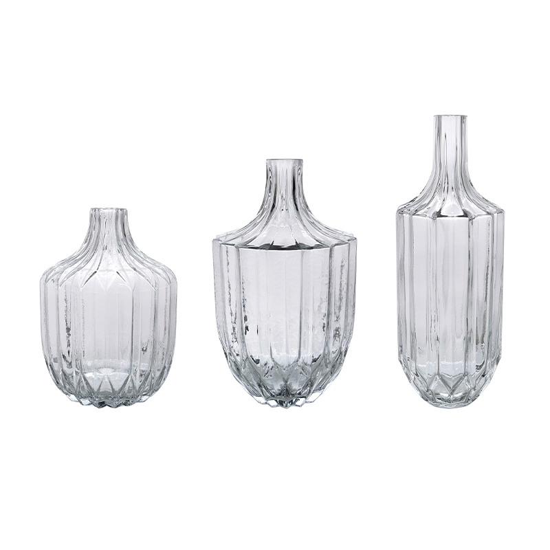 Transparent Glass Vase Set YD-CGV-077