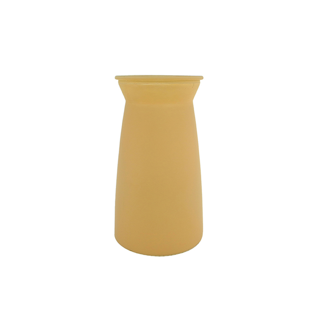Curved Sand-blown Glass Vase YD-ND-427