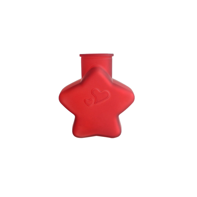 Star Frosted Glass Vase YD-VL-044
