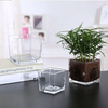 Transparent Square Flower Pot YD-FPWP-013