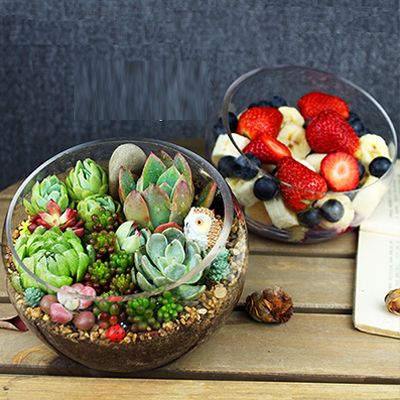 Round Transparent Flower Pot YD-FPWP-014