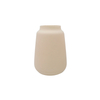 Frosted And Painted Glass Vase YD-ND-464