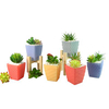 Candy Color Flower Pot YD-FPWP-004