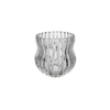 Peanut Shaped Clear Glass Vase YD-CGV-034