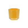 Polygon-shaped Colored Glass Flower Pot YD-FPWP-043