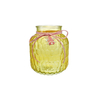 Eco-friendly Hanging Colored Glass Vase YD-SS-161
