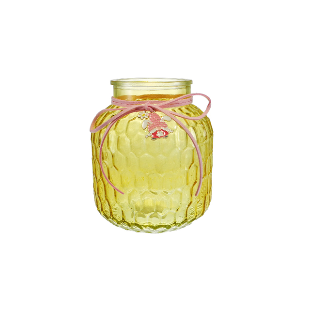 Eco-friendly Hanging Colored Glass Vase YD-SS-161