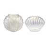 Colorful Plated Shell Glass Vase YD-OBS-163