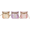 Swan Pendant in Colored Glass Container YD-SS-167